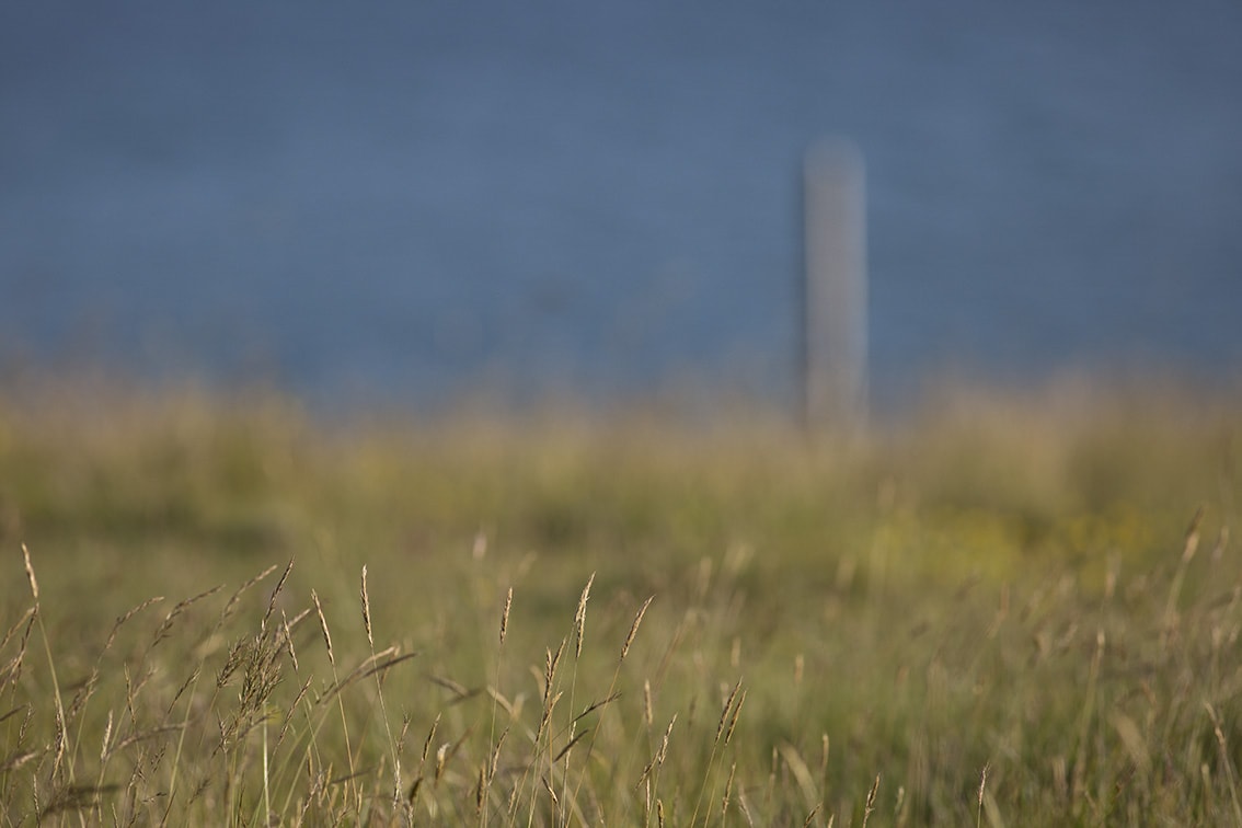 Broad Bay Highland Cattle Fold Imagery by Jade Starmore