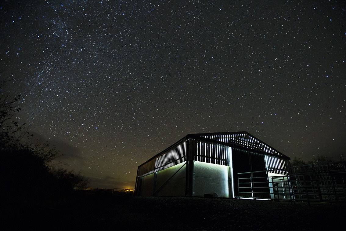 Broad Bay Highland Cattle Fold Imagery by Jade Starmore