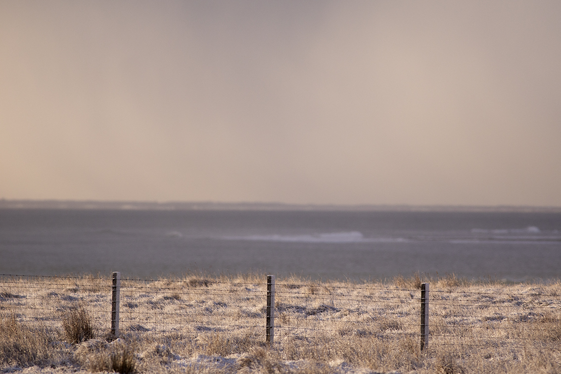 Broad Bay Highland Cattle Fold Imagery by Jade Starmore