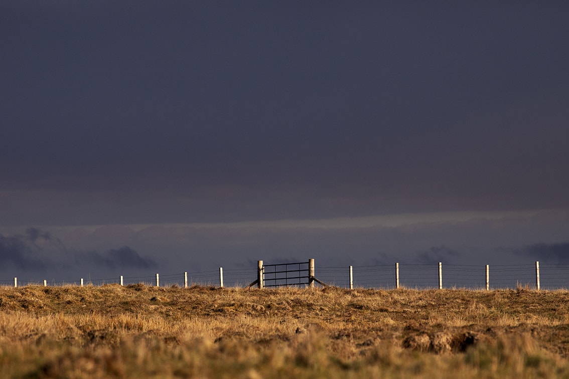 Broad Bay Highland Cattle Fold Imagery by Jade Starmore